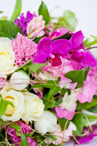 Beyaz arkaplanda izole çiçekler — Stok fotoğraf