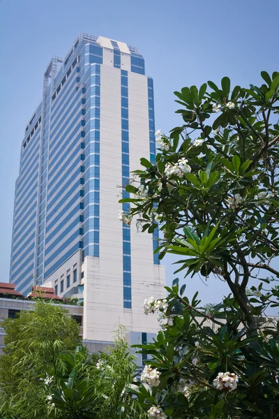 방콕에서 건물 — 스톡 사진
