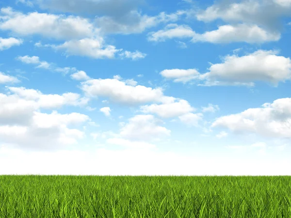 Natuur achtergrond - weide en blauwe hemel — Stockfoto