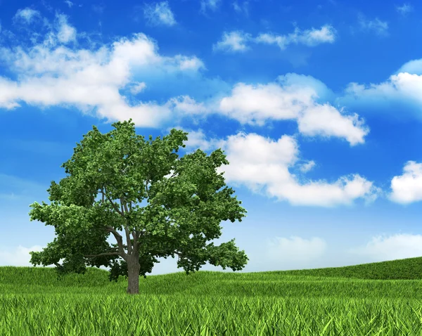 Natuur achtergrond - sky, gras en boom — Stockfoto