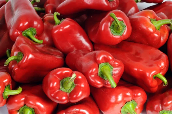 Röd paprika — Stockfoto