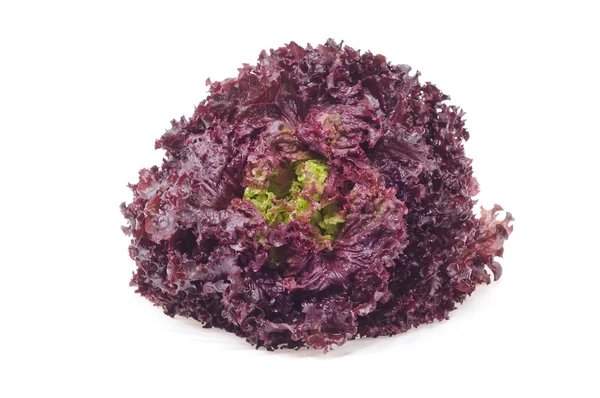 Pink salad — Stock Photo, Image