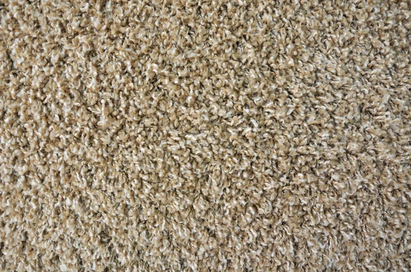 Textura de alfombra —  Fotos de Stock