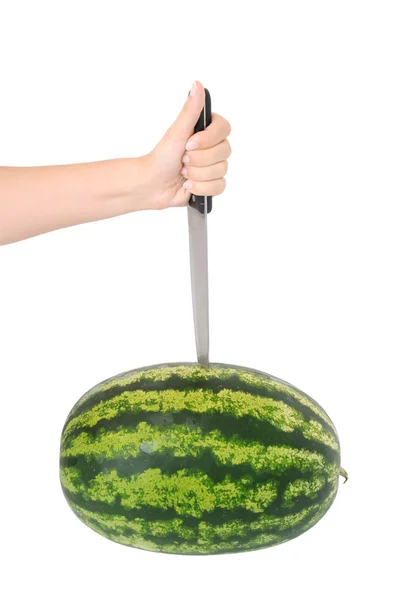 Fresh Watermelon — Stock Photo, Image