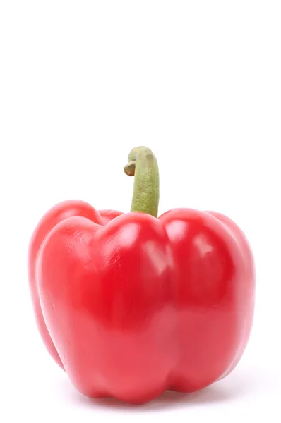 Red pepper — Stock Photo, Image