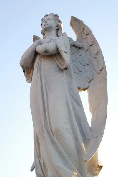 Schöner Engel auf Friedhof — Stockfoto
