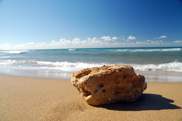 Rocha de praia — Fotografia de Stock