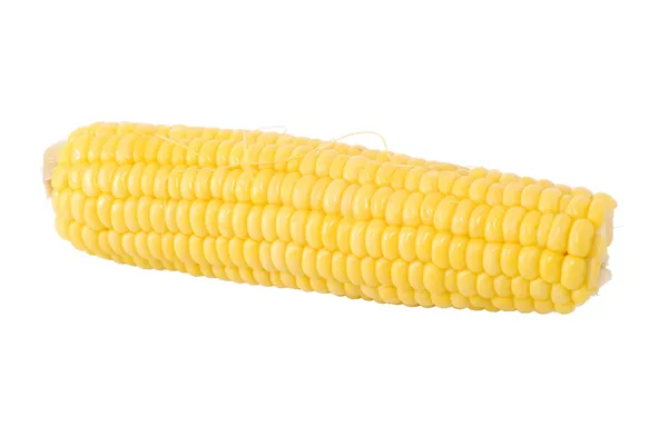 Mazorca de maíz — Foto de Stock