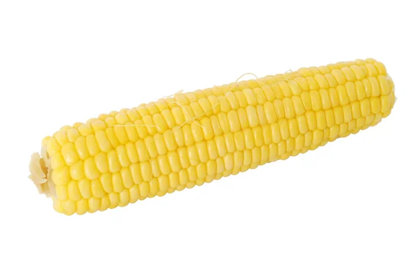 Кукуруза на белом — стоковое фото