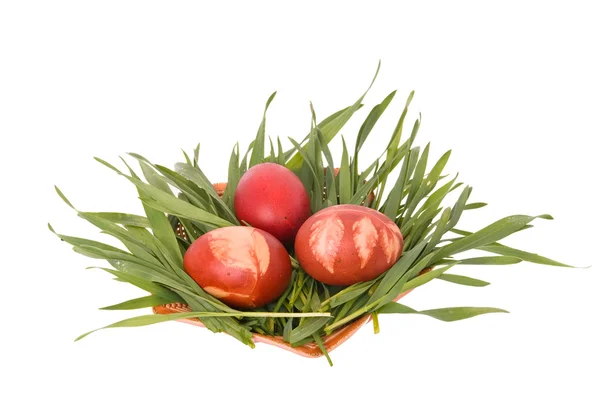 Red eggs — Stock Photo, Image