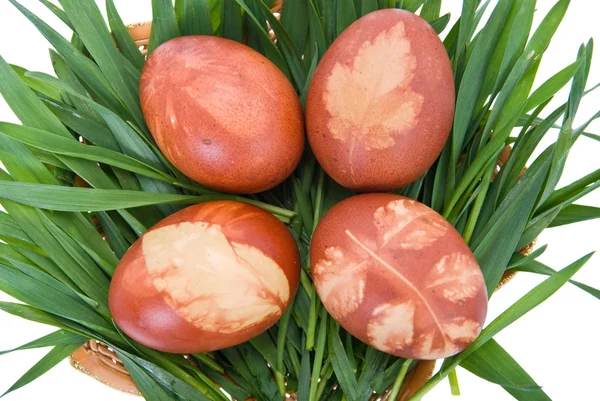 Huevos orientales — Foto de Stock