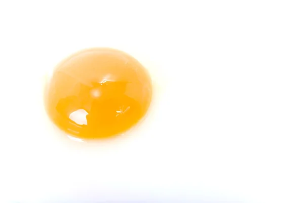 stock image White egg