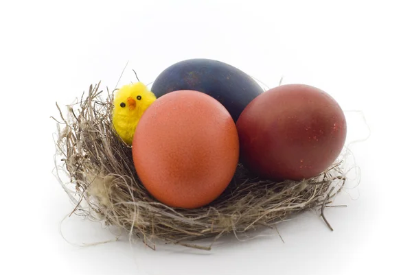Bird nest and colorful eastern eggs — Stock Photo, Image
