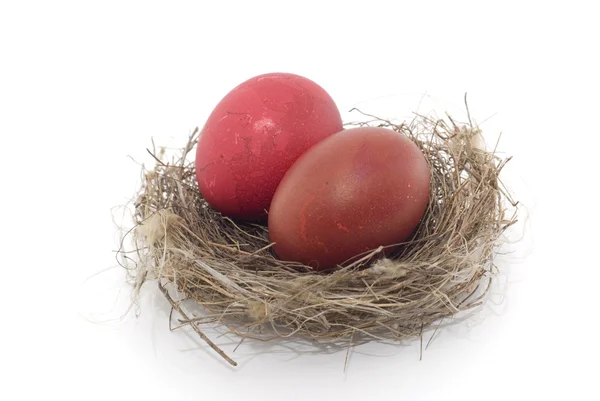 Colorful eastern eggs and bird nest — Stock Photo, Image