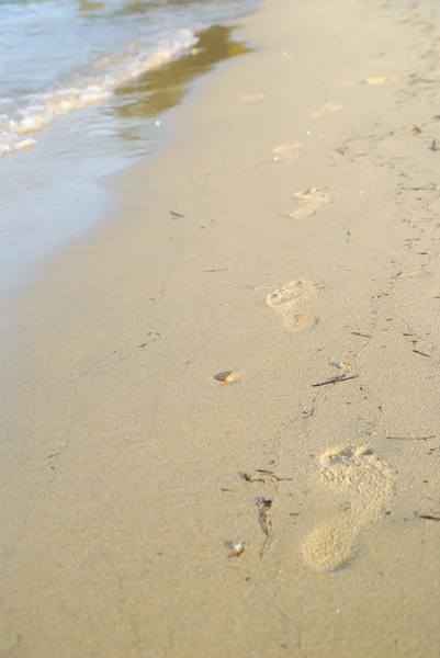 Footprints — Stock Photo, Image