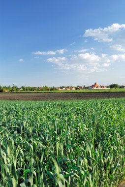 Köyü panorama