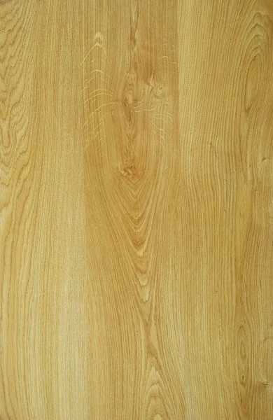 Textura de madera de roble — Foto de Stock