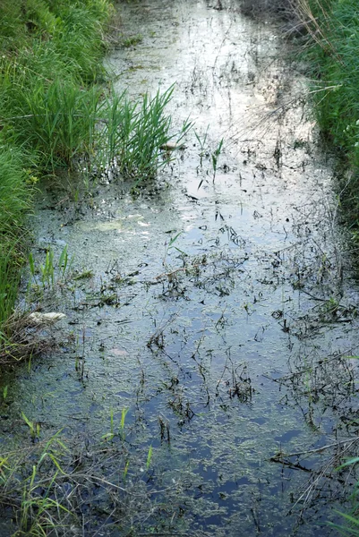 River polution — Stock Photo, Image