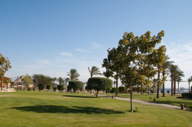 Egypt, Taba, seaside landscape. December, winter. clipart