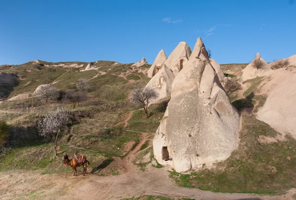 Cappadocia-maisema — kuvapankkivalokuva