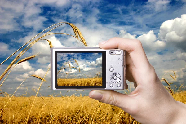 Cyfrowy aparat fotograficzny w ręku. krajobraz — Zdjęcie stockowe