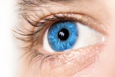 Blue Eye Macro clipart