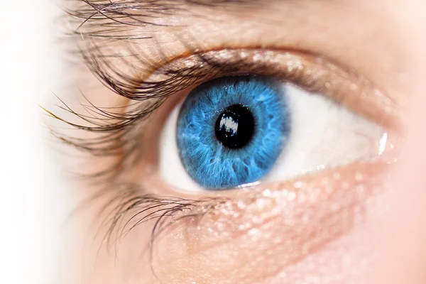 Blue Eye Macro — Stock Photo, Image