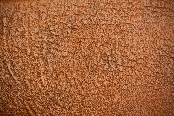 Tekstury skóry — Zdjęcie stockowe