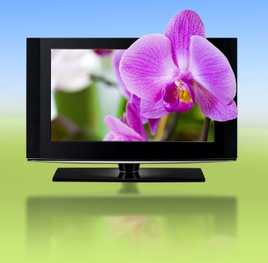 3D television. TV LCD in HD 3D. clipart