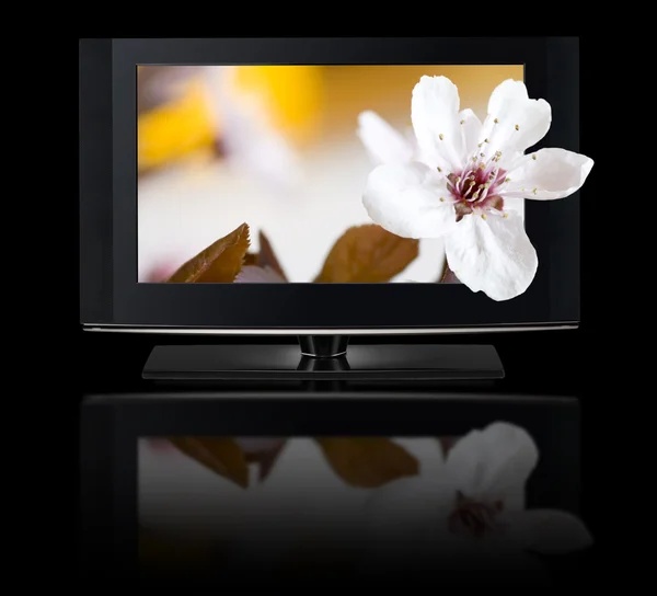 3D televize. TV lcd v hd 3d. — Stock fotografie