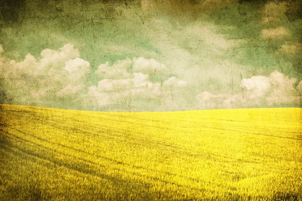 Grunge obraz zielonego pola i błękitne niebo — Zdjęcie stockowe