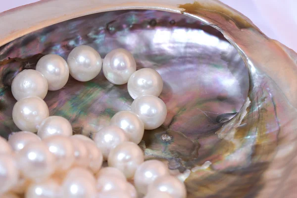 Nacre and white pearls — Stock Photo, Image