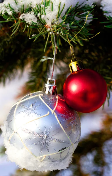 Two balls on the Christmas tree Royalty Free Stock Images