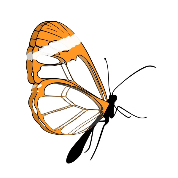 Orange fjäril — Stock vektor