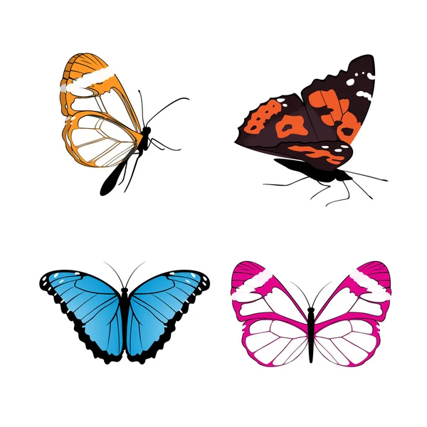 Färg fjärilar — Stock vektor
