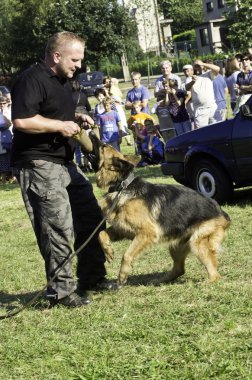 Polis Köpeği