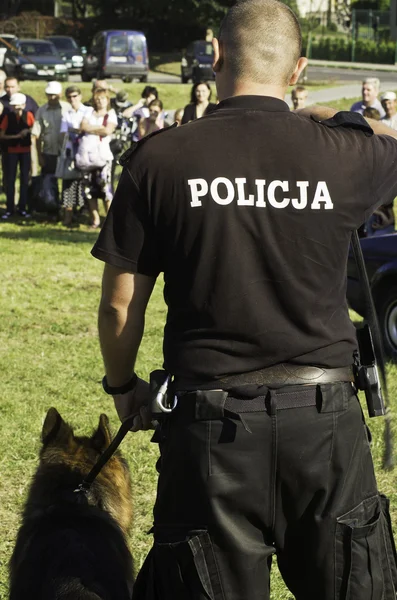 警察犬 — ストック写真