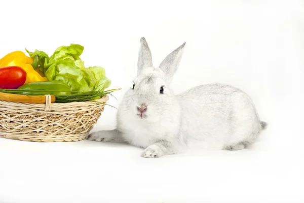 stock image Cute Rabbit with fresh vegetables