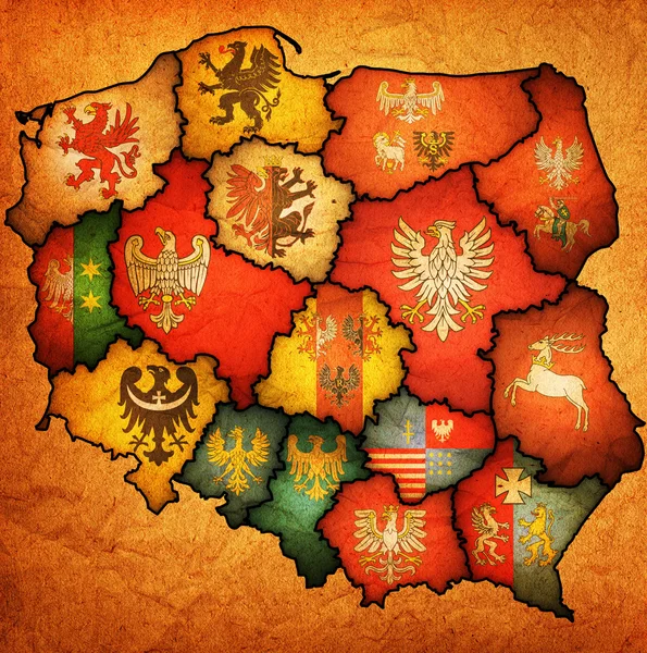Административная карта Польши — стоковое фото