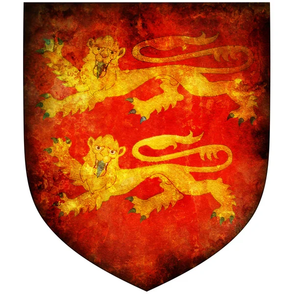 Нормандский герб — стоковое фото