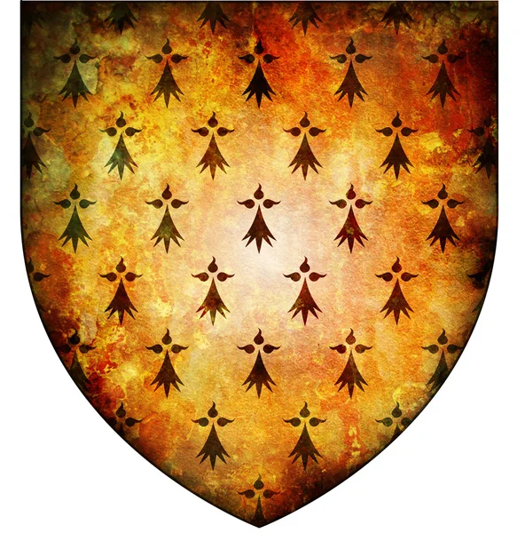 Brasão de armas da Bretany — Fotografia de Stock