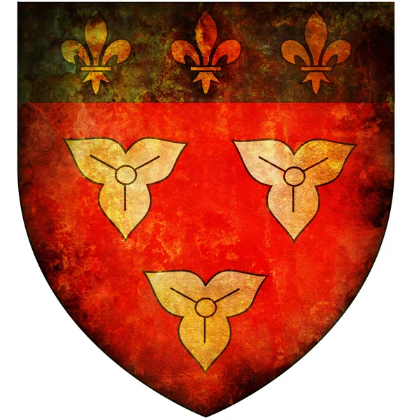 Orleans címer — Stock Fotó