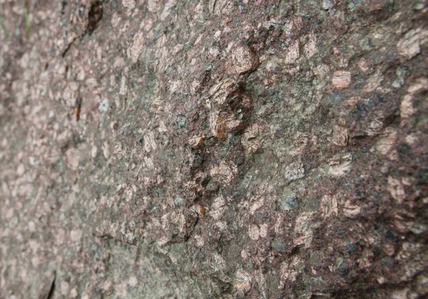 Stone detail — Stock Photo, Image