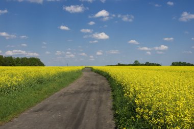 toprak yol alan tecavüz arasında