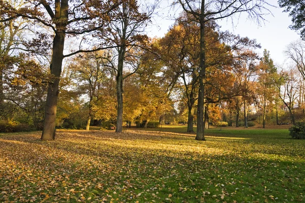 stock image Autumn colors