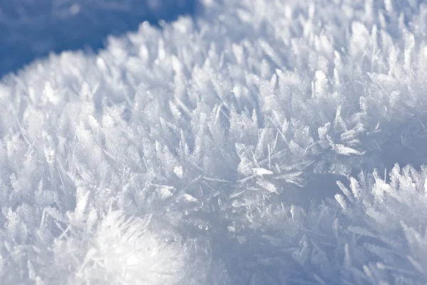 Biały puszysty śnieg w Zamknij — Zdjęcie stockowe