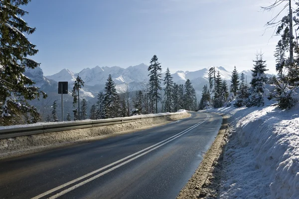 stock image Winter road