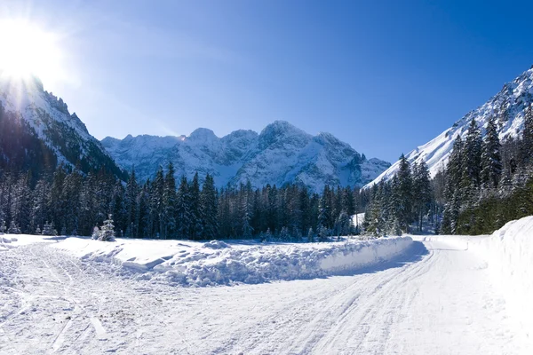 Panoramautsikt över vintern berg — Stockfoto