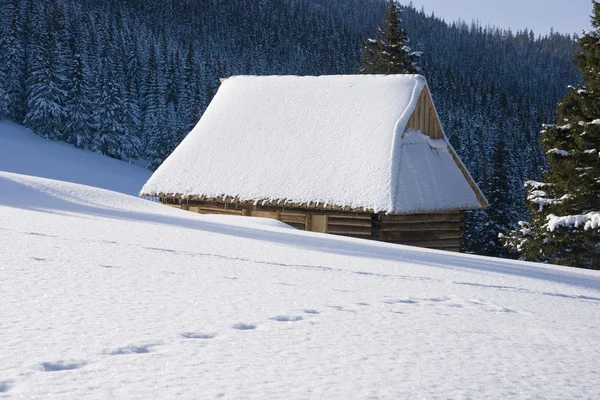 Una cabaña cubierta de nieve en el claro Rusinowa — Foto de Stock