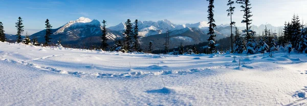 Tatra-Bergpanorama in winterlicher Landschaft. — Stockfoto